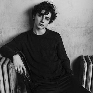 Timothée Chalamet